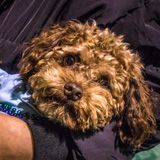 20220301_IMG_6882.jpg