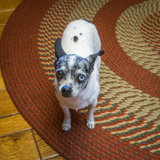 20220501_IMG_8427.jpg